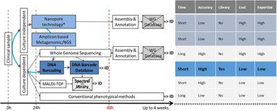 Dual DNA Barcoding for the Molecular Identification of the Agents of Invasive Fungal Infections